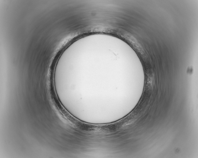 X0000093560678200711121015