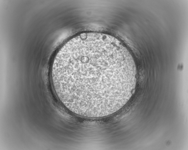 X0000093560679200711121015
