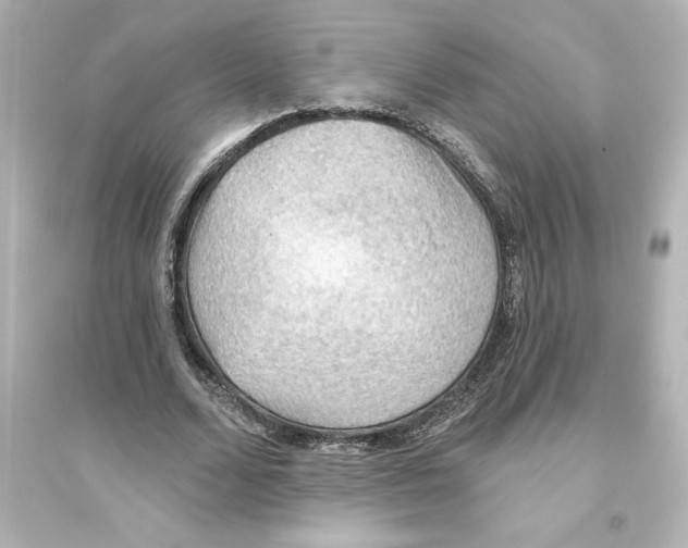 X0000093560680200711121015