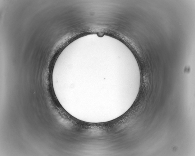 X0000093560682200711121014