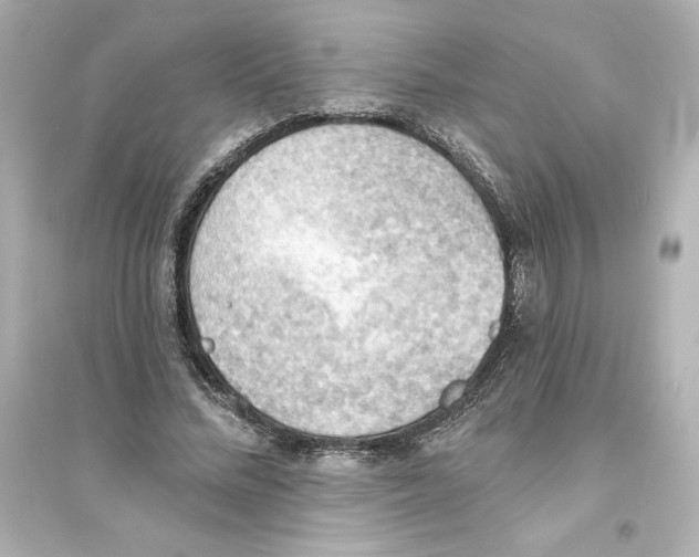 X0000093560684200711121014