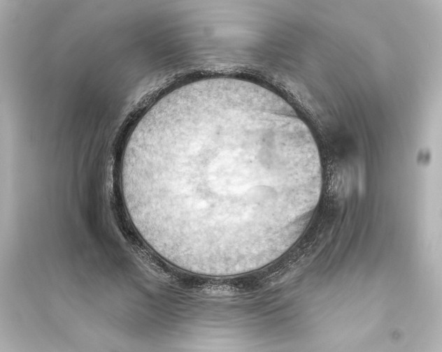 X0000093560685200711121014