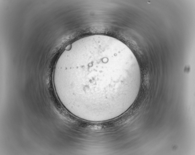 X0000093560687200711121014