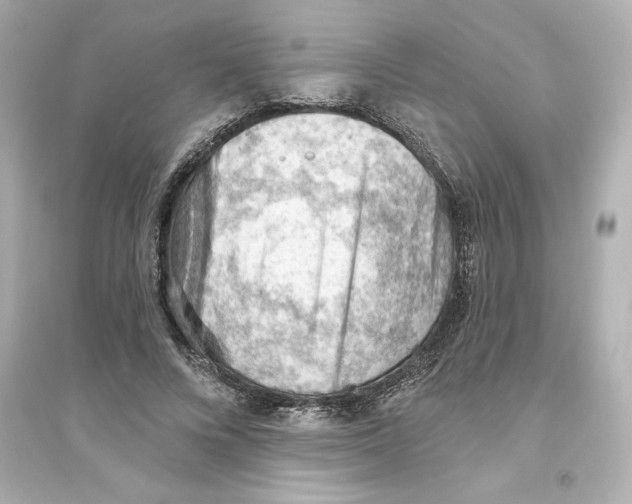 X0000093560688200711121014