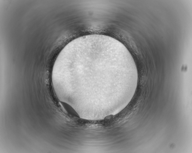 X0000093560689200711121014