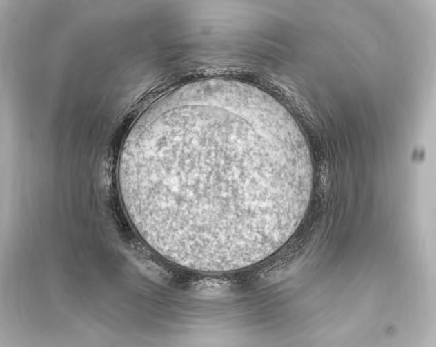X0000093560691200711121014