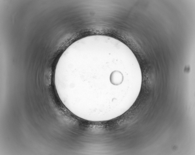 X0000093560694200711121014