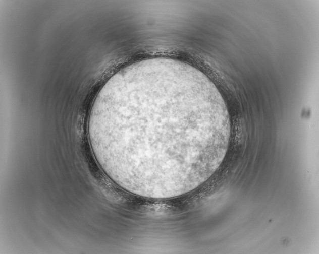 X0000093560695200711121014