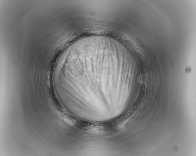X0000093560696200711121014