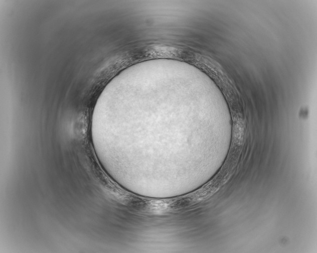 X0000093560701200711121014
