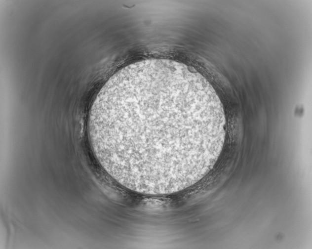 X0000093560703200711121014