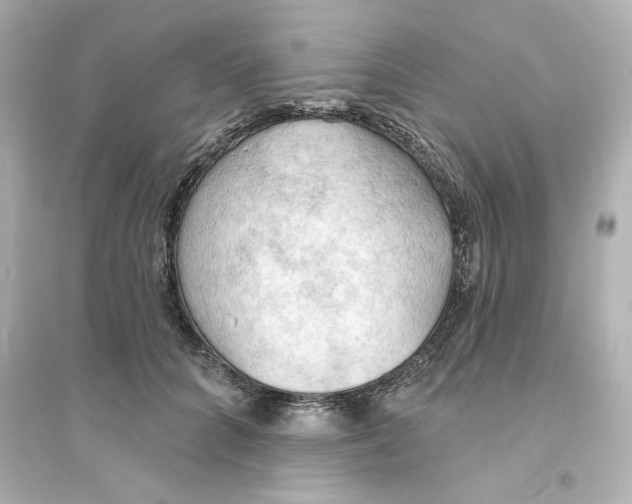 X0000093560704200711121014