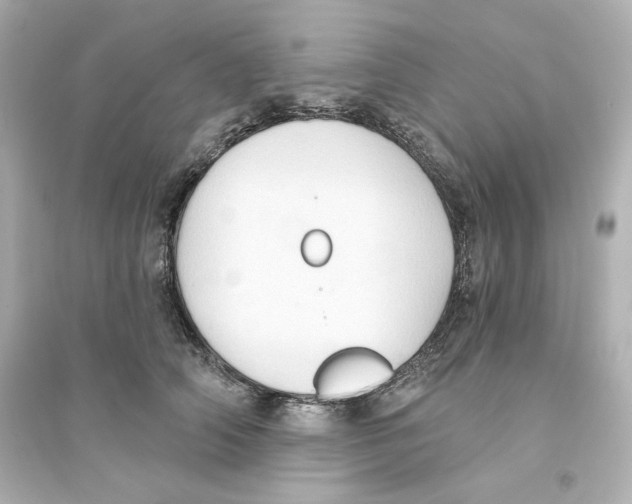 X0000093560706200711121014