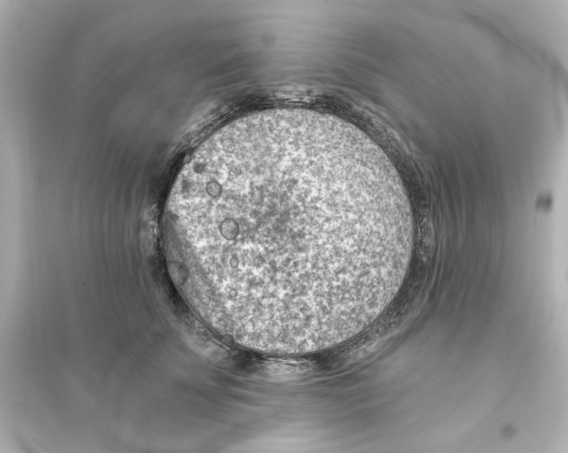 X0000093560707200711121014