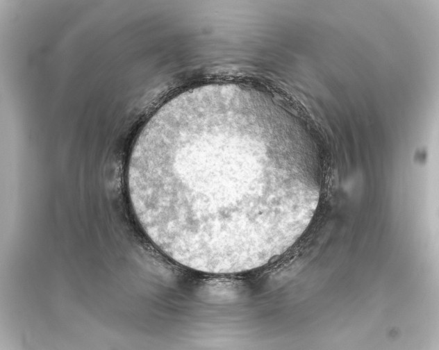 X0000093560708200711121014