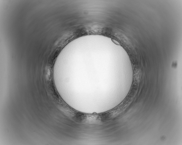 X0000093560709200711121014