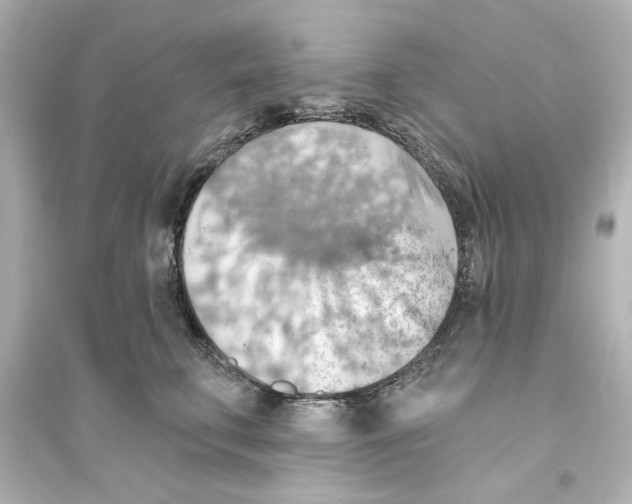 X0000093560711200711121014