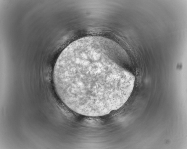 X0000093560712200711121014
