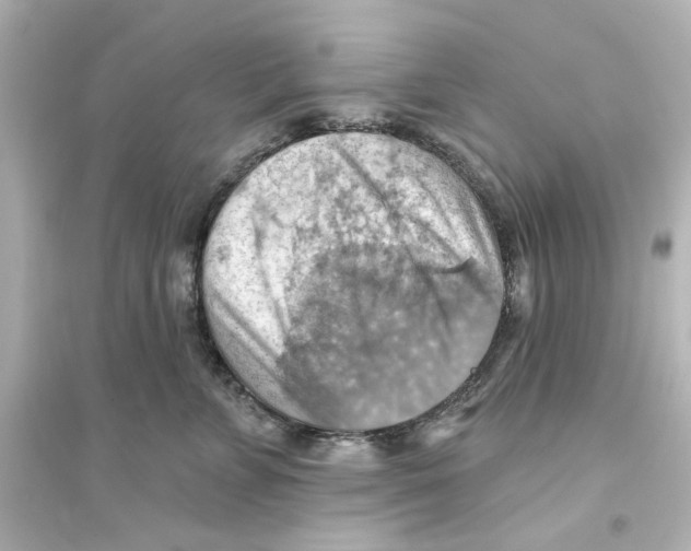 X0000093560715200711121014