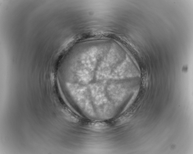 X0000093560716200711121014