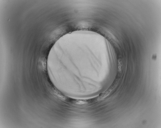 X0000093560718200711121014