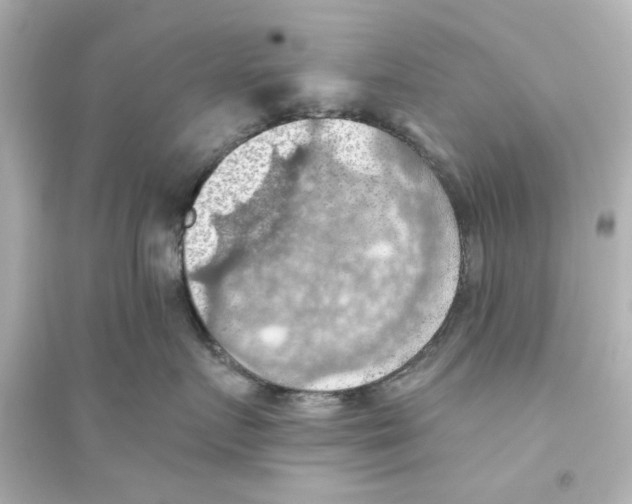 X0000093560719200711121014