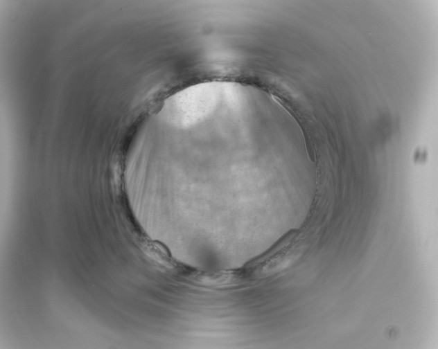 X0000093560720200711121014