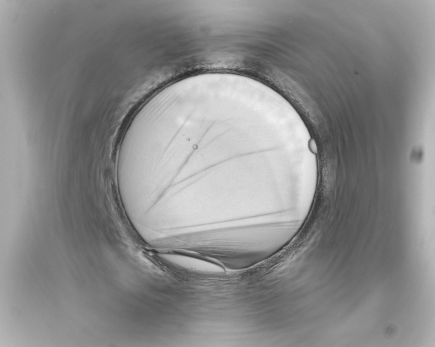 X0000093560721200711121013