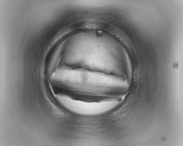 X0000093560722200711121013
