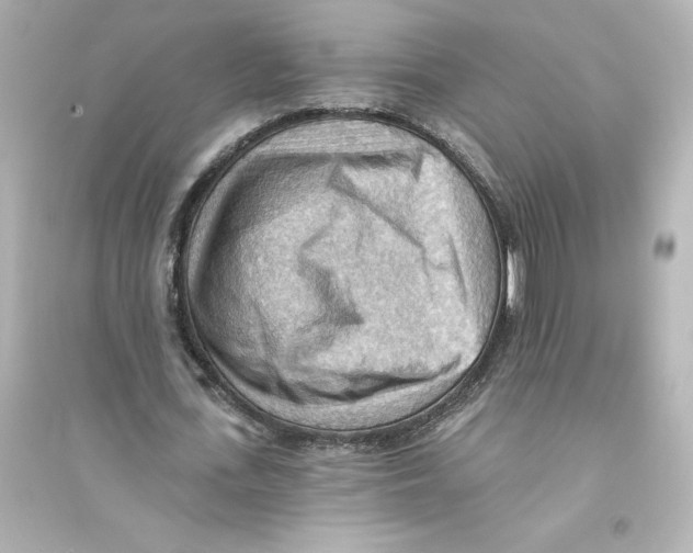 X0000093560723200711121013