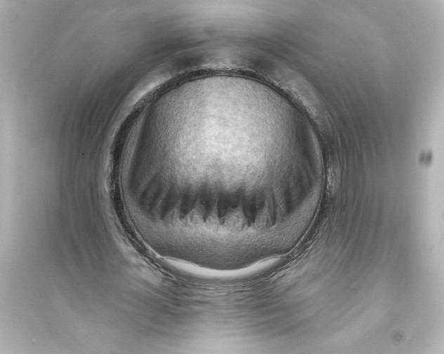 X0000093560724200711121013