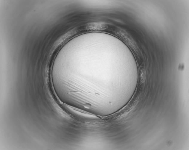 X0000093560725200711121013