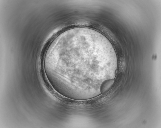 X0000093560726200711121013