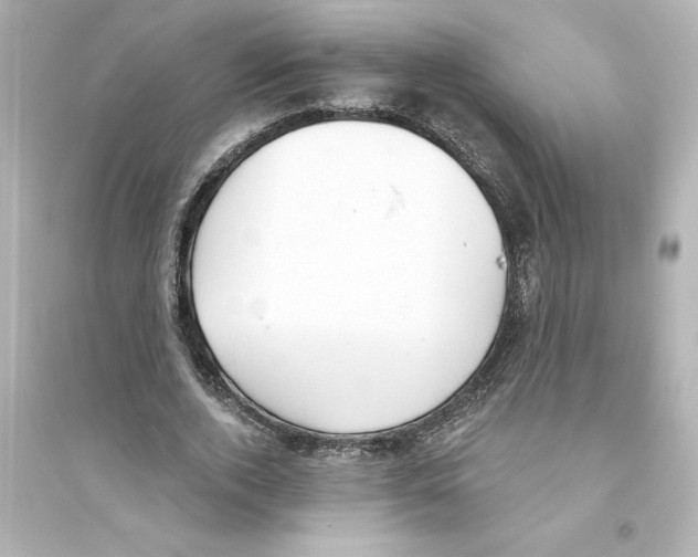X0000093560728200711121013