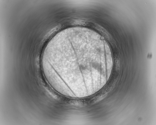 X0000093560729200711121013