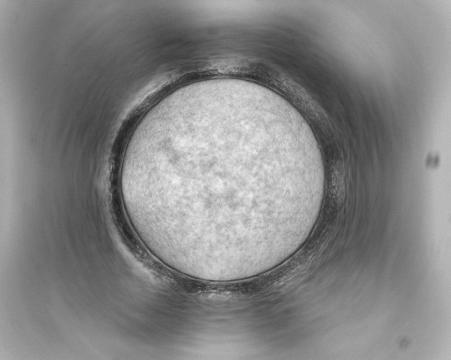 X0000093560730200711121013