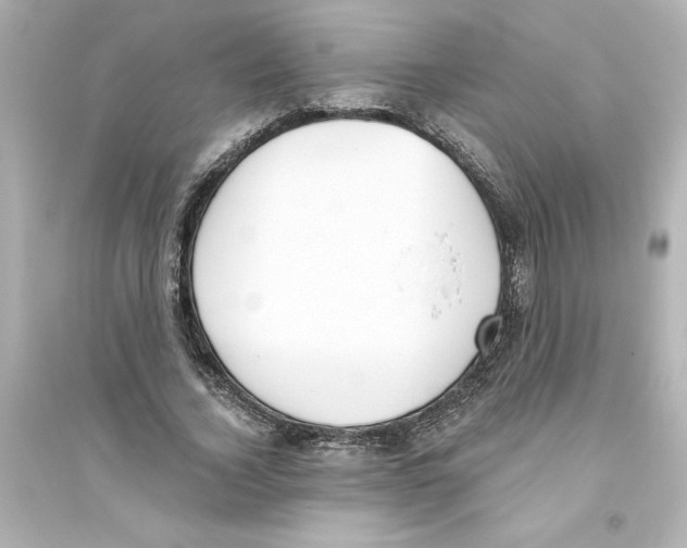 X0000093560732200711121013