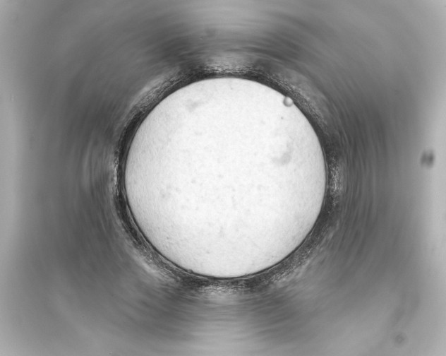 X0000093560733200711121013