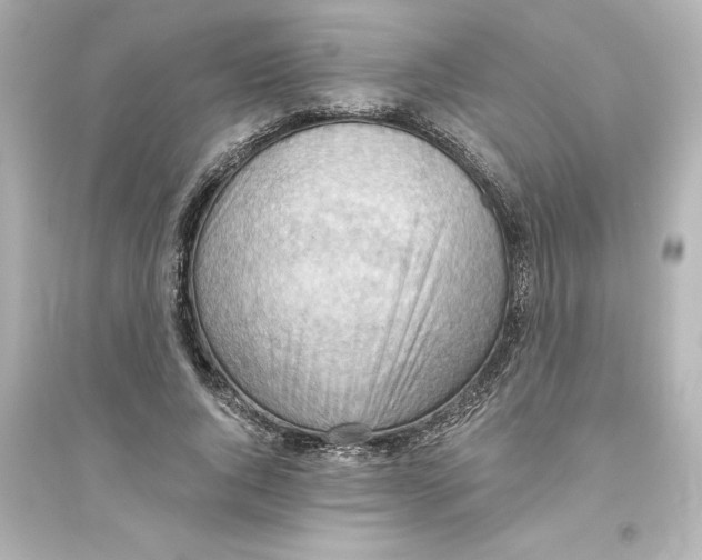 X0000093560736200711121014