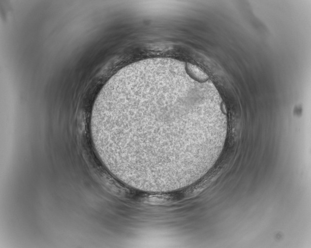 X0000093560758200711121014