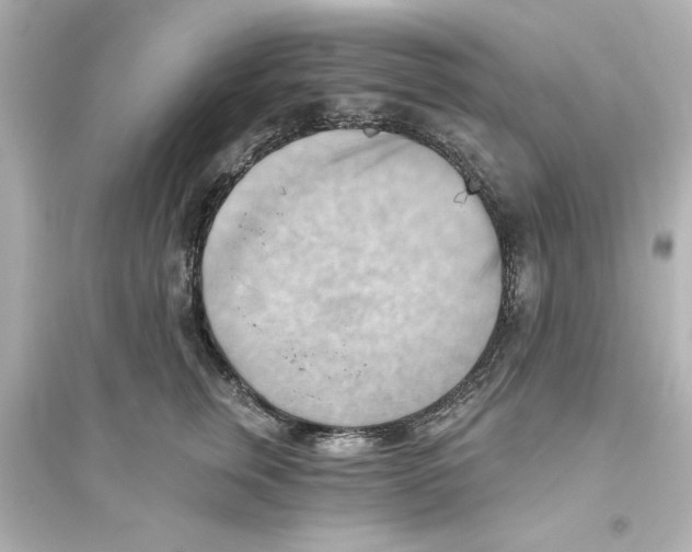 X0000093560759200711121014