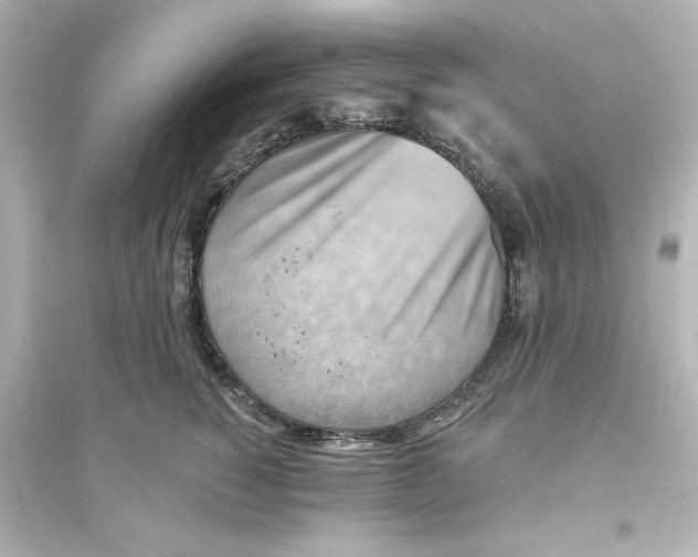 X0000093560760200711121014
