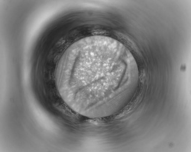 X0000093560763200711121014