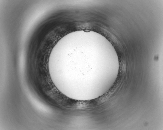 X0000093560764200711121014