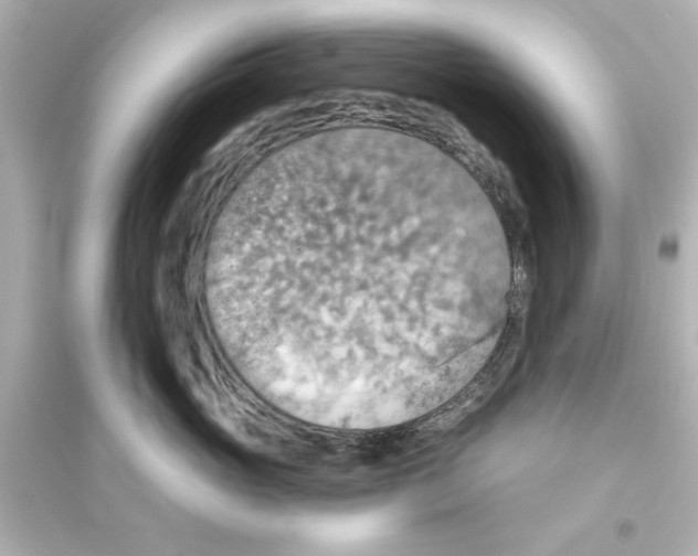 X0000093560765200711121014