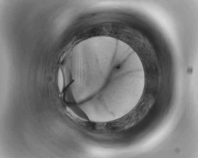X0000093560766200711121014