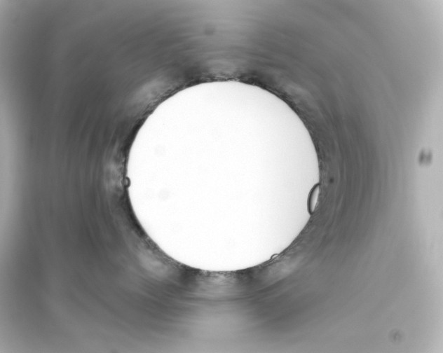 X0000093560768200711121014