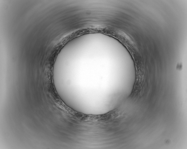 X0000093560773200711121013