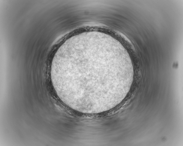 X0000093560775200711121013