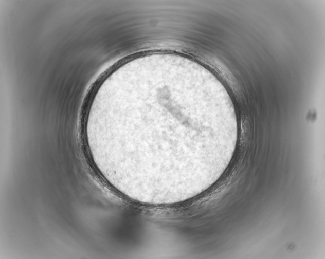 X0000093560780200711121013